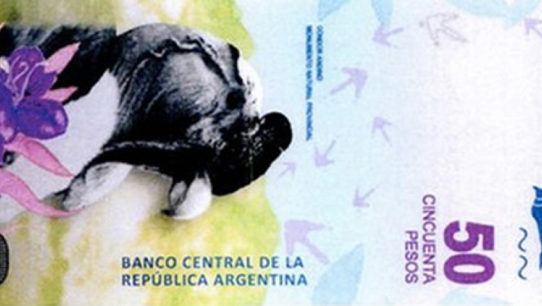 Nuevos billetes, naturaleza vs. historia (Por Daniel D´Eramo)